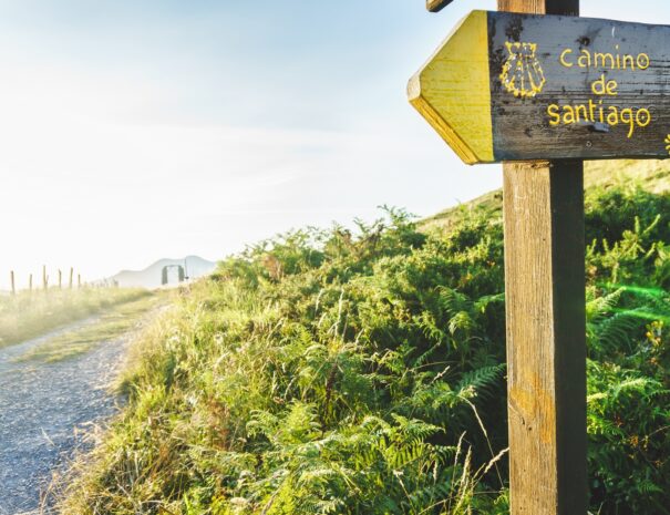 poster-or-sign-of-the-camino-de-santiago-at-sunset-2022-11-02-16-39-06-utc